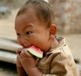 超萌的吃瓜群众是谁,网络红人的崛起之路