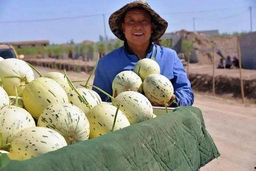 悠闲的当个吃瓜群众,悠然当个吃瓜群众