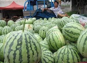 泉州网红吃瓜群众群,吃瓜群众群里的欢乐时光