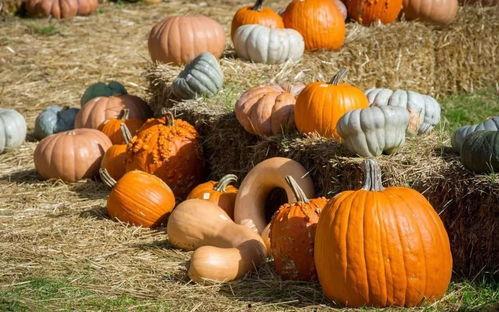 晒干沉默的吃瓜群众,晒干后的真相与反思