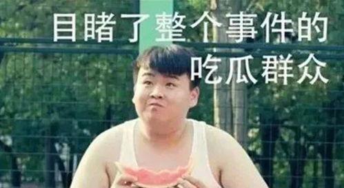 吃瓜群众表情包大妈视频,视频爆笑全场