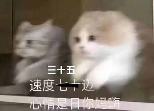 打死楼上吃瓜群众,一场邻里纠纷的悲剧