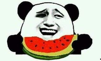 吃瓜群众的骚操作,揭秘网络舆论场的狂欢与骚动