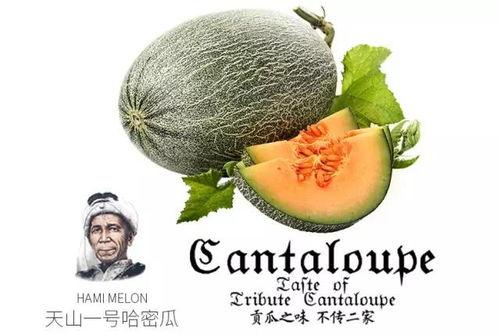 吃瓜群众干果,揭秘娱乐圈幕后故事