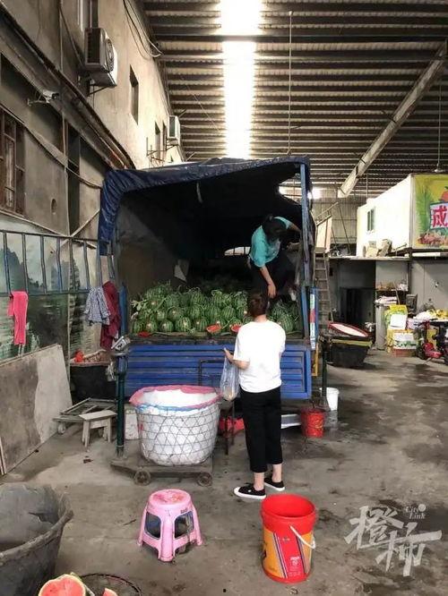 商河吃瓜群众事件视频,网络围观下的社会现象解析