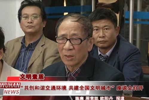 央视发声热心的朝阳群众与吃瓜,朝阳热心群众与吃瓜群众的和谐共鸣