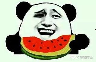 惊呆吃瓜群众,揭秘娱乐圈惊人内幕