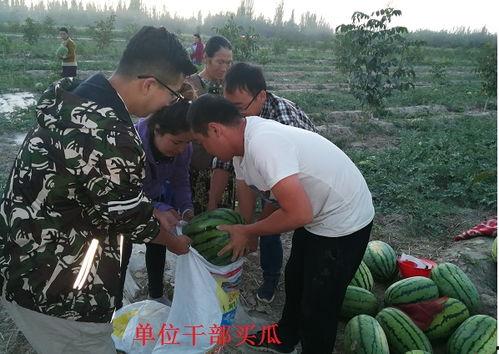 吃瓜群众一起加油给力,吃瓜群众齐心加油给力