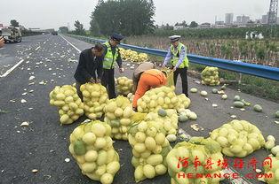 淮南吃瓜群众,揭秘当地独特美食文化