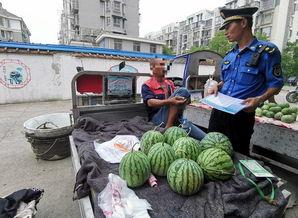 泉州头条冬天吃瓜群众,泉州“吃瓜群众”的欢乐时光