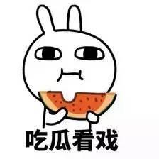 最后一个吃瓜群众怎么写,揭秘最后一个吃瓜群众的幕后真相