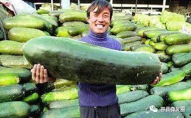 像吃瓜群众那种名称叫啥,网络时代的围观文化现象