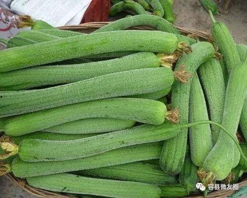 像吃瓜群众那种名称叫啥,网络时代的围观文化现象