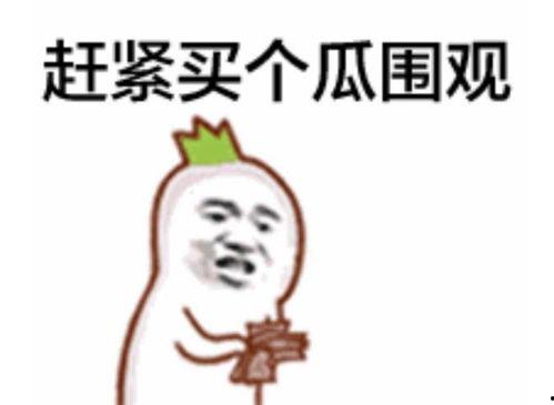 一线吃瓜群众 直播视频,现场直击事件幕后真相