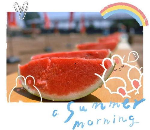 6号吃瓜群众,揭秘6号吃瓜群众的瓜界传奇