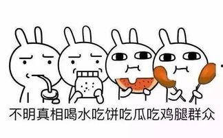 不追星吃瓜群众,不追星吃瓜群众眼中的明星生活