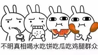 吃瓜群众第三季免费观看,免费解锁，揭秘娱乐圈风云变幻