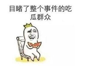 吃瓜群众造成的事件,一场网络事件的背后