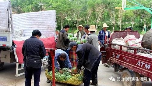 魏县吃瓜群众事件始末最新消息,真相追踪与舆论发酵全记录
