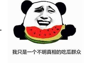 吃瓜群众飘过是什么意思,揭秘网络流行语背后的趣味与哲理