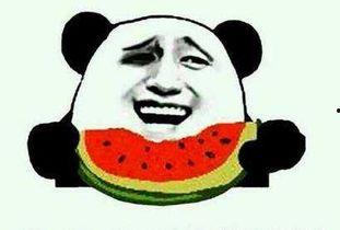 吃瓜群众哥哥吃西瓜,吃瓜群众哥哥的夏日西瓜盛宴