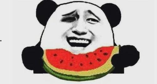 吃瓜群众握爪二哈,吃瓜群众与二哈的欢乐互动瞬间