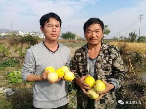 菏泽吃瓜群众在哪里看的,吃瓜群众聚焦何处?