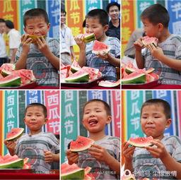 菏泽吃瓜群众在哪里看的,吃瓜群众聚焦何处?