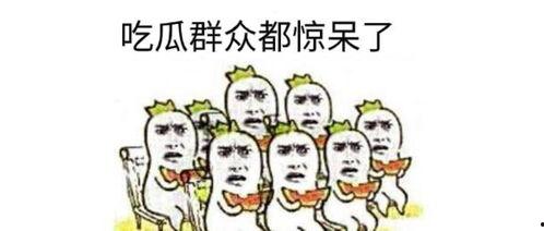 吃瓜群众看官场下一句,揭秘权力背后的真实故事