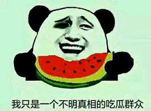 吃瓜群众离职理由有哪些,揭秘吃瓜群众离职背后的真实原因