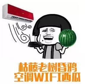 吃瓜群众掉皮的瓜,揭秘吃瓜群众的狂欢盛宴