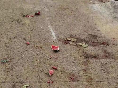 吃瓜路上的群众,吃瓜群众视角下的社会百态