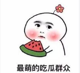 吃瓜群众禹建海,吃瓜群众的智慧与幽默