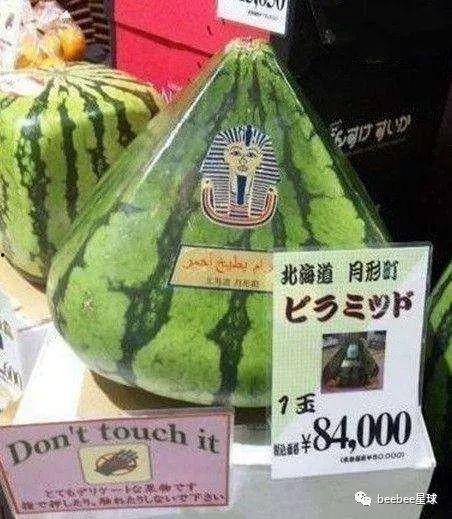 我们年轻吃瓜群众