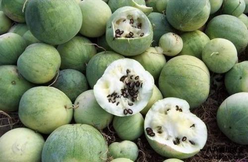 来自广西的吃瓜群众是谁,揭秘网络热词背后的故事